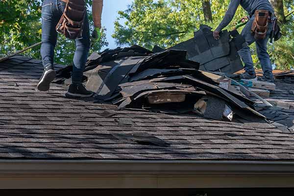 Two workers removing the old dark gray shingles of a residential roof, getting it ready for a replacmenet